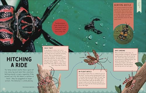 Animal Partnerships: Radical Relationships, Unlikely Alliances, and Other Animal Teams