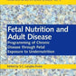 Fetal Nutrition and Adult Disease: Programming of Chronic Disease through Fetal Exposure to Undernutrition: 2 (Frontiers in Nutritional Science)