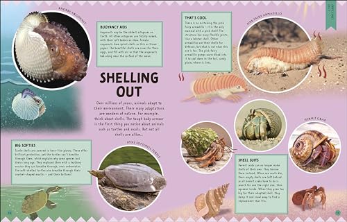 Odd Animals Out (Wonders of Wildlife)