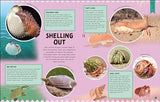 Odd Animals Out (Wonders of Wildlife)