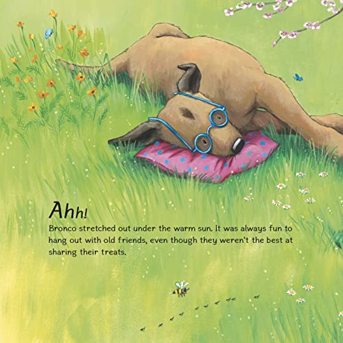 Bronco and Friends: Mission Possible: 2