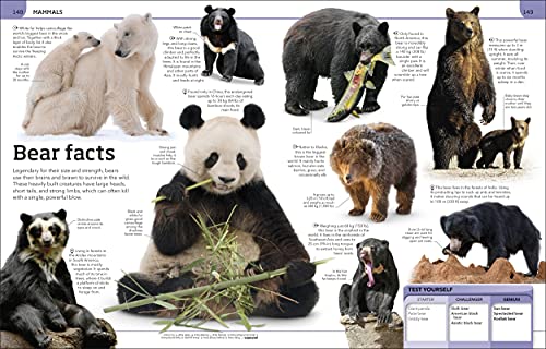 Animal Knowledge Genius!: A Quiz Encyclopedia to Boost Your Brain - Retail Maharaj