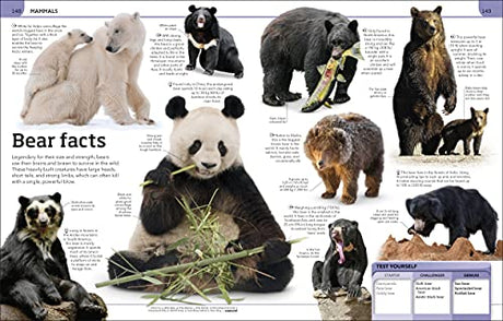 Animal Knowledge Genius!: A Quiz Encyclopedia to Boost Your Brain - Retail Maharaj