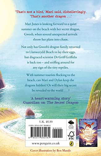 Summer of the Dragons (The Secret Dragon, 2)