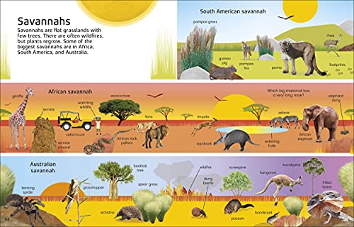 1000 Words: Nature: Build Nature Vocabulary and Literacy Skills