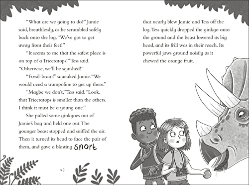 Dinosaur Club: A Triceratops Charge