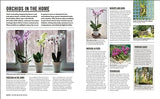 Grow Orchids: Essential Know-how and Expert Advice for Gardening Success