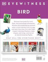 Bird (DK Eyewitness)