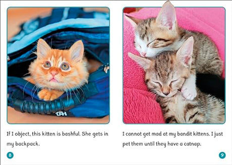 Phonic Books Dandelion World Stages 16-20: Simple two-syllable words and suffixes (Phonic Books Beginner Decodable Readers) - Retail Maharaj