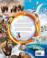 Amazing Animal Journeys: The Most Incredible Migrations in the Natural World