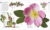 The Natural History Book: The Ultimate Visual Guide to Everything on Earth (DK Definitive Visual Encyclopedias)