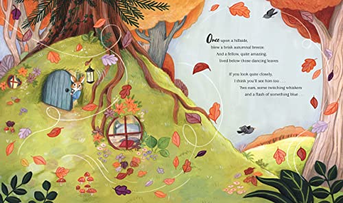 Peter Rabbit: Hide and Seek!: Inspired by Beatrix Potter's iconic character