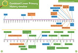 Changes Within Living Memory Pupil Book (Collins Primary History) - Retail Maharaj