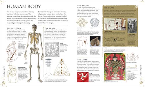 Signs & Symbols