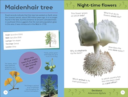 Quiz Yourself Clever! Trees of the World
