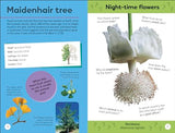 Quiz Yourself Clever! Trees of the World