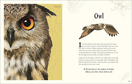 An Anthology of Intriguing Animals - Retail Maharaj