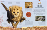 Born to be Wild: How Baby Animals Survive and Thrive