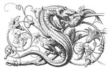 Fantastic Ornaments: A Pictorial Archive from Nineteenth-century Sources - Retail Maharaj