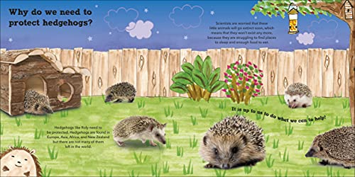 Roly the Hedgehog (Roly and Friends)