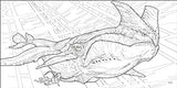 Avatar Colouring Book