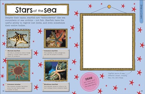 The Fact-Packed Activity Book: Sharks and Other Sea Creatures