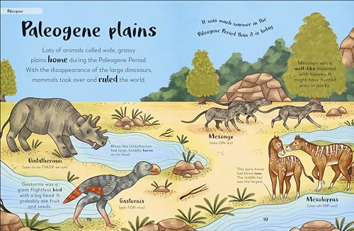 Bedtime Books: A Lovable Introduction to Animals and Dinosaurs