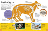 DKfindout! Big Cats