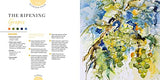 Nature in Watercolour: Expressive Painting Through the Seasons - Retail Maharaj