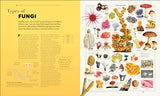 Knowledge A Visual Compendium: Making Sense of our World
