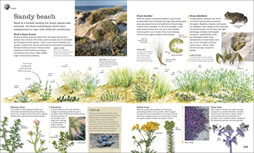 Chris Packham's Nature Handbook: Explore the Wonders of the Natural World