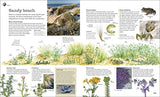 Chris Packham's Nature Handbook: Explore the Wonders of the Natural World