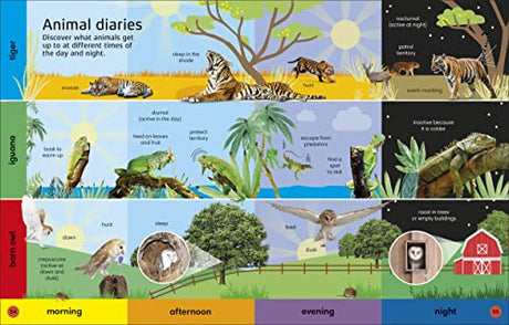 1000 Animal Words: Build Animal Vocabulary and Literacy Skills - Retail Maharaj