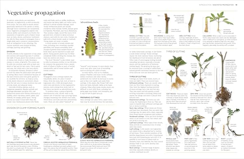 RHS Propagating Plants: How to Grow Plants for Free