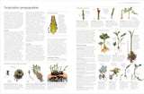 RHS Propagating Plants: How to Grow Plants for Free