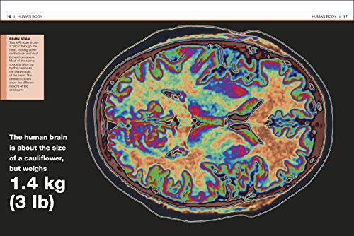 Pocket Eyewitness Human Body - Retail Maharaj