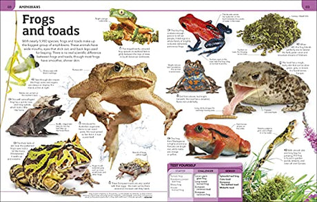 Animal Knowledge Genius!: A Quiz Encyclopedia to Boost Your Brain - Retail Maharaj