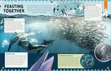 Animal Partnerships: Radical Relationships, Unlikely Alliances, and Other Animal Teams
