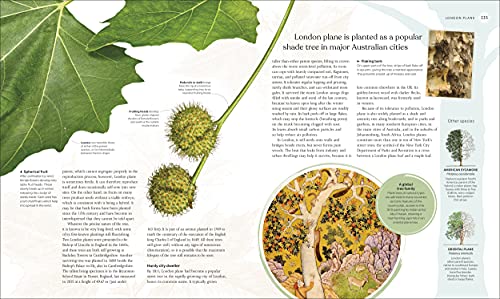 The Tree Book: The Stories, Science, and History of Trees