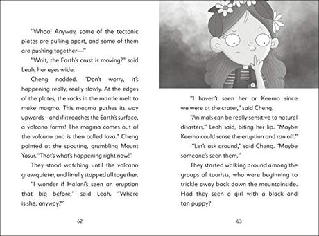 The Secret Explorers and the Smoking Volcano - Retail Maharaj