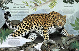 Through the Animal Kingdom: Discover Amazing Animals and Their Remarkable Homes (Journey Through)