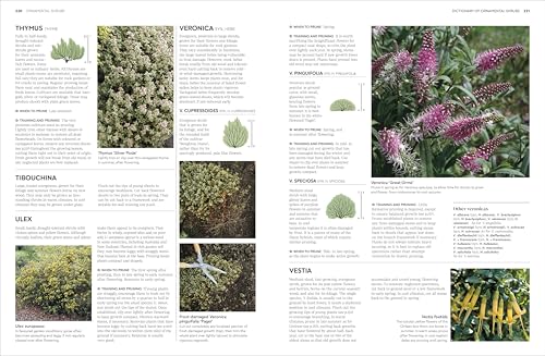RHS Pruning and Training: What, When, and How to Prune Over 800 Plants
