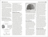 The Little Book of Philosophy (Big Ideas)