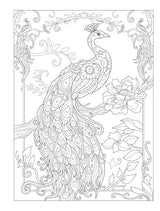 Creative Haven Birds and Blossoms Coloring Book - Retail Maharaj
