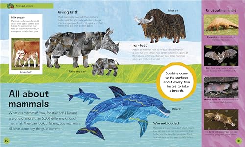 The Very Hungry Caterpillar's Very First Animal Encyclopedia: An Introduction to Animals, For VERY Hungry Young Minds (The Very Hungry Caterpillar Encyclopedias)