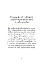 Our Garden Birds: a stunning illustrated guide to the birdlife of the British Isles - Retail Maharaj