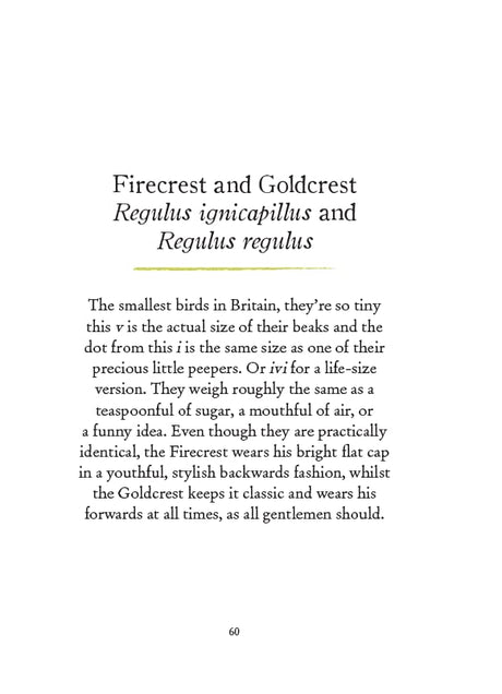 Our Garden Birds: a stunning illustrated guide to the birdlife of the British Isles - Retail Maharaj