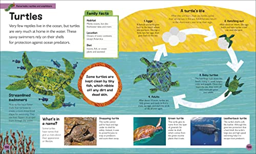 The Very Hungry Caterpillar's Very First Animal Encyclopedia: An Introduction to Animals, For VERY Hungry Young Minds (The Very Hungry Caterpillar Encyclopedias)