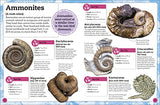 My Book of Fossils