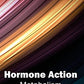 Hormone Action: Metabolism